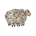 BGG Ovejitas